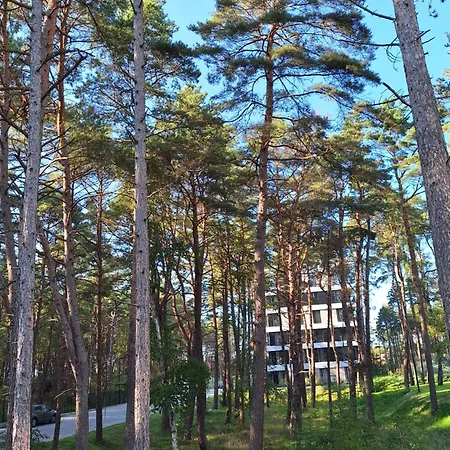 Shellter Sun&sea Kolo Kolobrzegu_dzwirzyno_nocleg Rogowo (Gryfice)